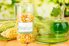 Calvo biofuel availability