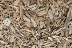 biomass boilers Calvo