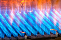 Calvo gas fired boilers